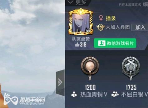 和平精英《北极熊》辅助
